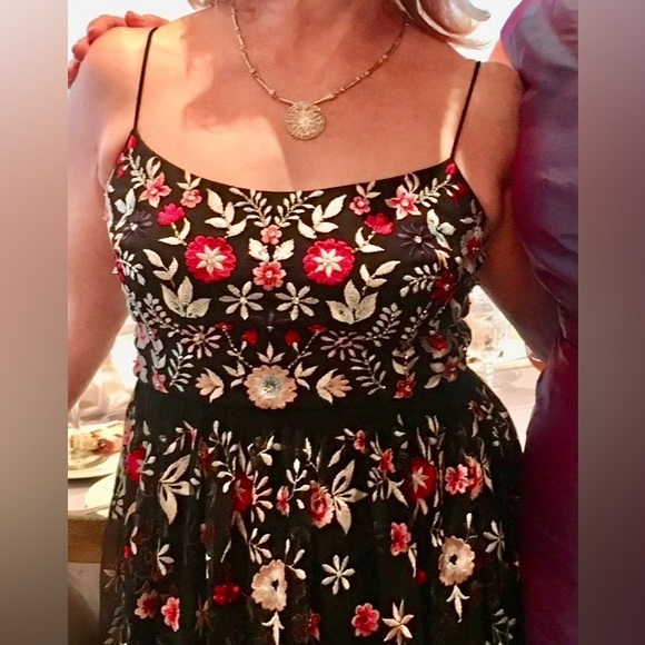 BHLDN cocktail dress, beading & sequins on bodice, embroidery on mesh skirt. - Picture 8 of 9